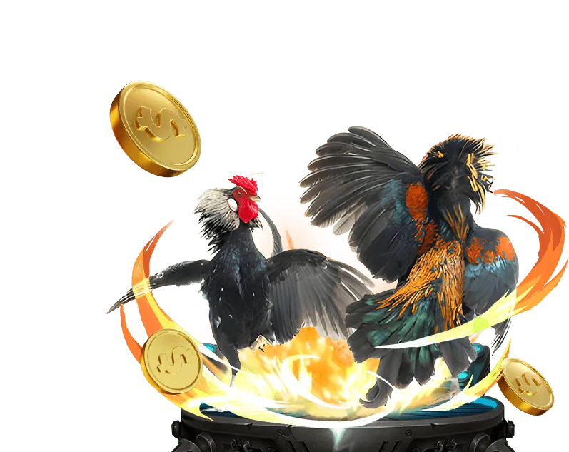 Cá cược bóng rổ kịch tính tại Kubet